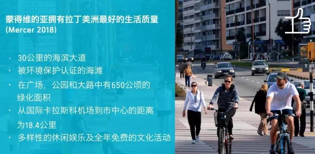 1548315086213793.jpg 10.jpg